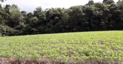 Área Rural em Cel. Barros