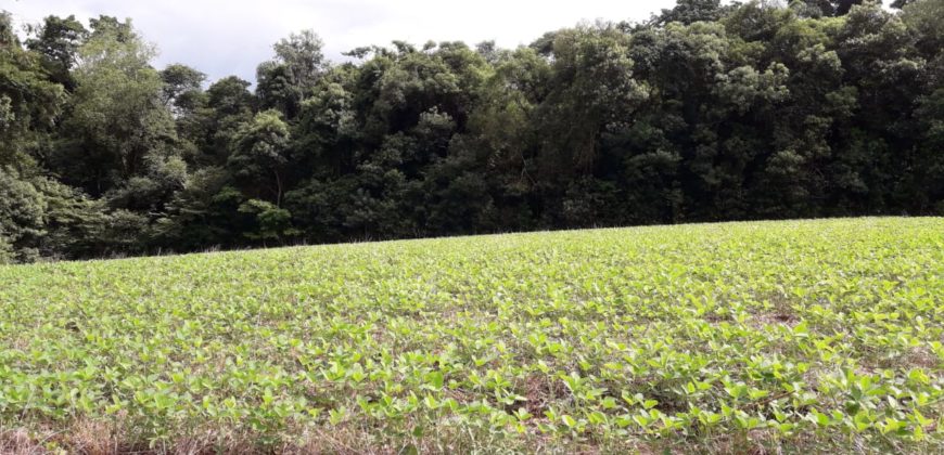Área Rural em Cel. Barros
