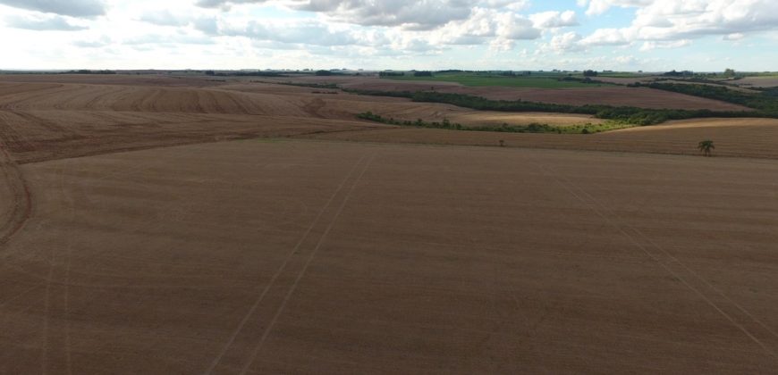 Área Rural em Cruz Alta