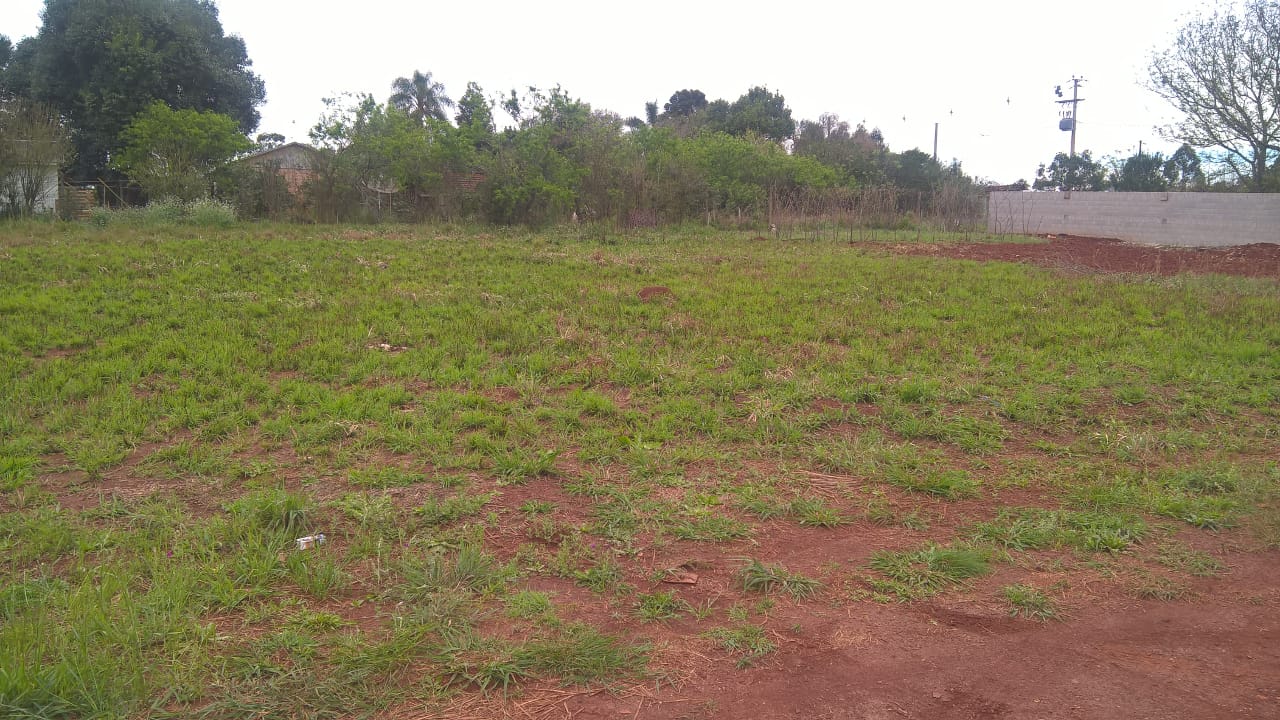 Extenso terreno na Ponte Branca