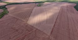 Área Rural em Cruz Alta