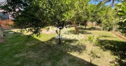 Casa residencial com Ponto Comercial no bairro Osvaldo Aranha