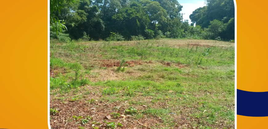 Área Rural Barreiro