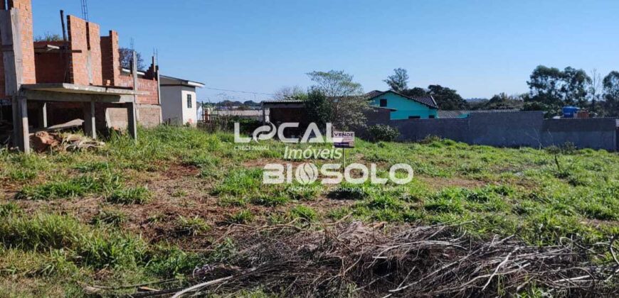 Terreno no Bairro Modelo