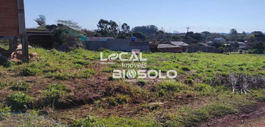 Terreno no Bairro Modelo
