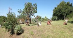 Chácara Comunidade Ilha Grande – Catuípe