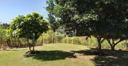 Chácara Comunidade Ilha Grande – Catuípe