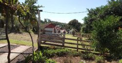 Chácara Comunidade Ilha Grande – Catuípe