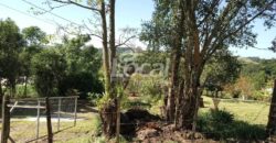 Chácara Comunidade Ilha Grande – Catuípe