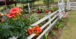 Chácara Comunidade Ilha Grande – Catuípe