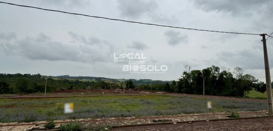 Terreno Loteamento Universitário