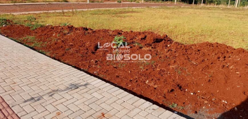 Terreno Bairro Universitário