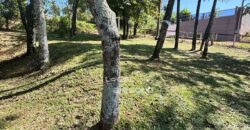 Casa com terreno no Parque Havaí