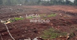 Terreno no Loteamento Universitário