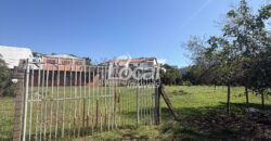 📍 Terrenos no Bairro Osvaldo Aranha – Excelente potencial comercial e construtivo