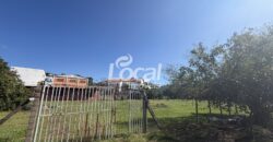 📍 Terrenos no Bairro Osvaldo Aranha – Excelente potencial comercial e construtivo