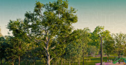 LANÇAMENTO | Loteamento Vivenda Águas Claras