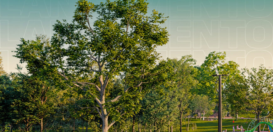 LANÇAMENTO | Loteamento Vivenda Águas Claras