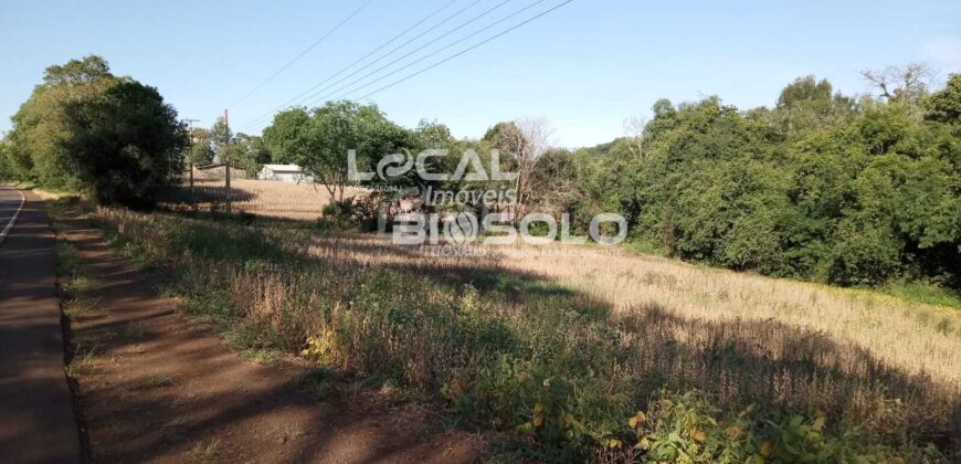 🌱 ÁREA DE TERRAS À VENDA – LINHA 4 OESTE