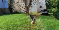 🏡 IMÓVEL DE ALVENARIA À VENDA – BAIRRO PINDORAMA