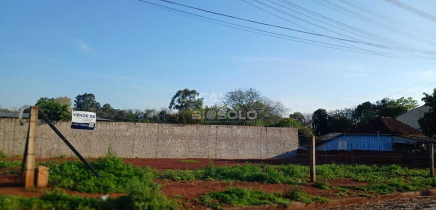 TERRENO À VENDA – BAIRRO MODELO